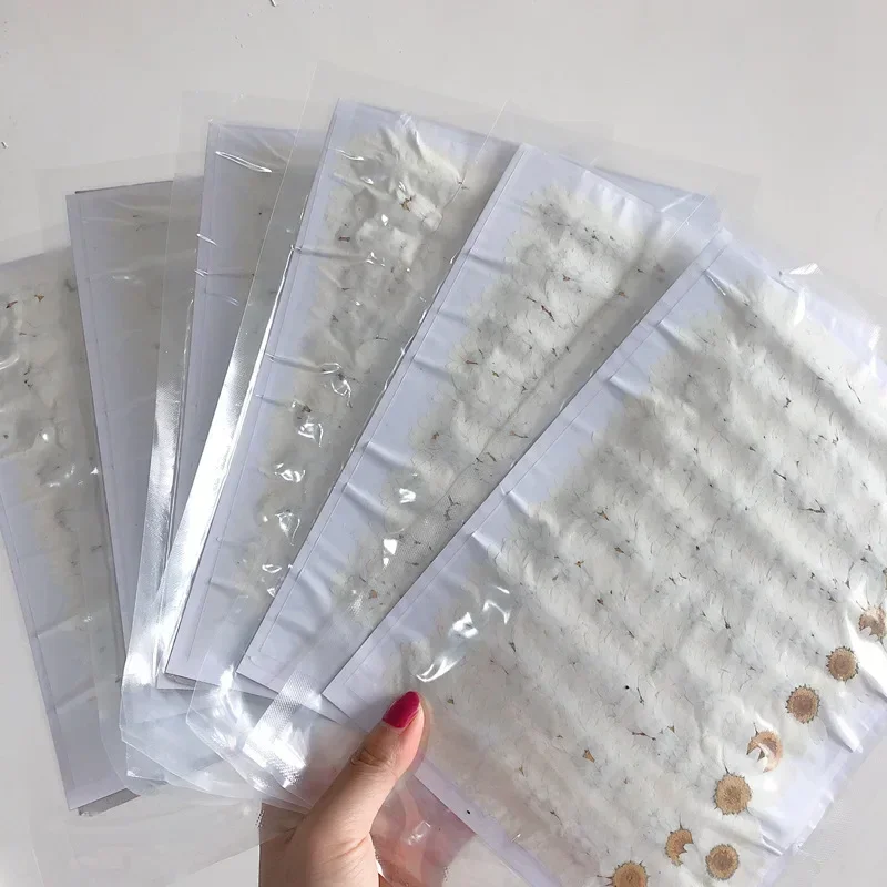 60X 압축 건조 백색/염색 국화꽃 팔루도섬 꽃 장식용 - Dried Flower Bookmark 리뷰 및 가격